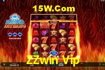 Security Systems ZZwin Vip